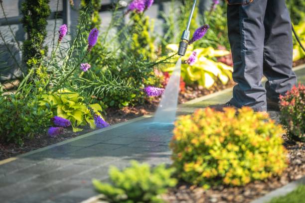 Best Patio and Deck Pressure Washing  in Oriska, NY